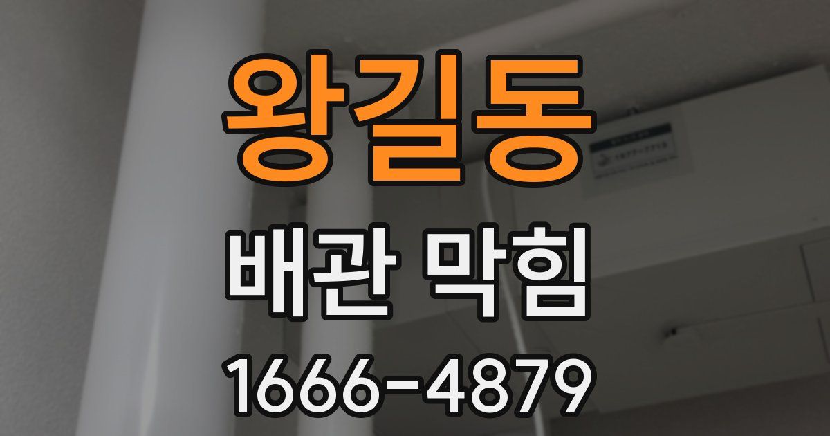 왕길동 배관 막힘