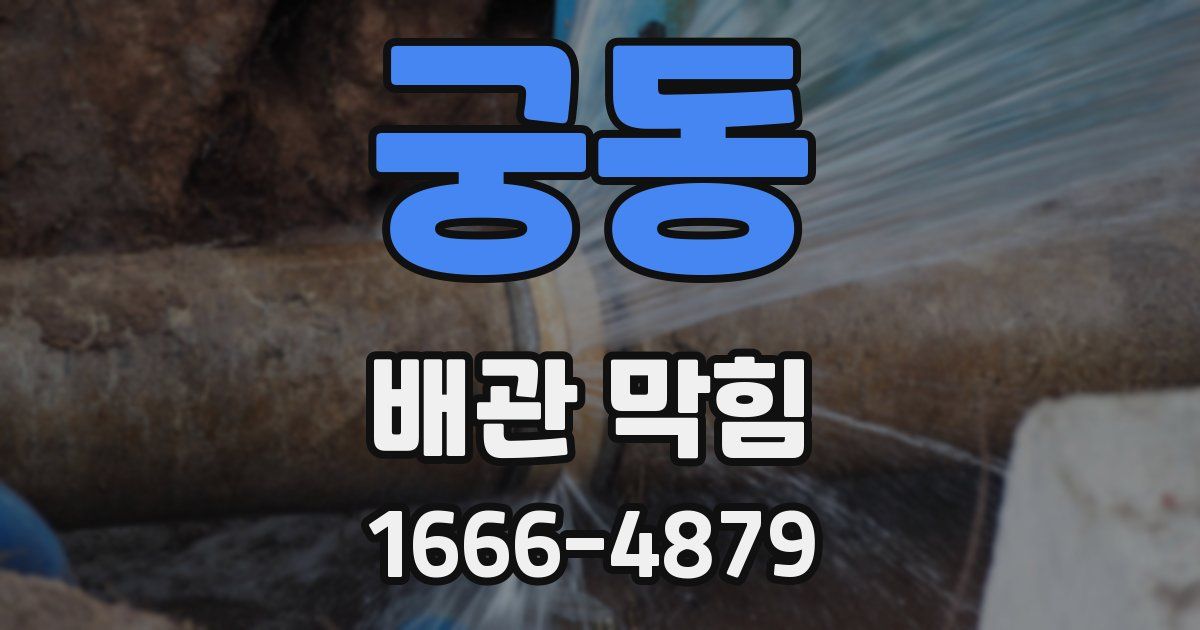 궁동 배관 막힘