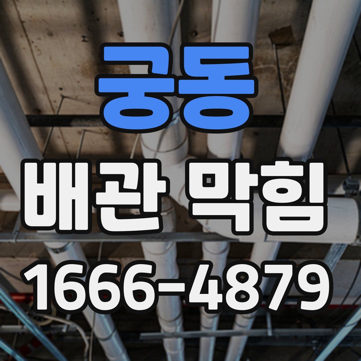궁동 배관 막힘