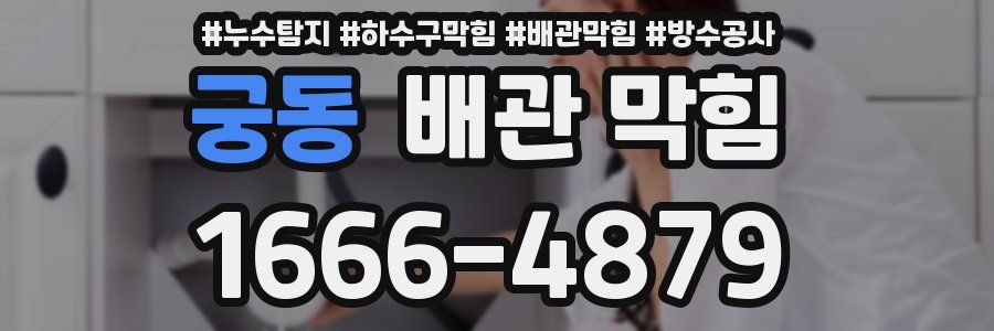 궁동 배관 막힘