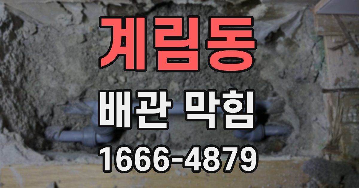 계림동 배관 막힘