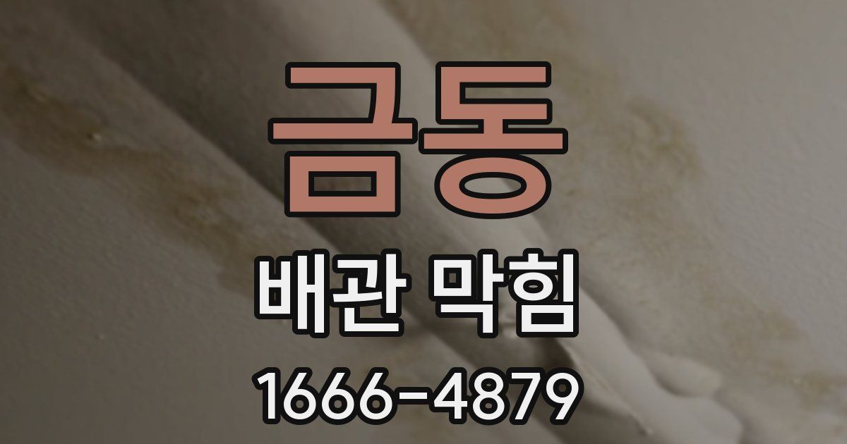 금동 배관 막힘