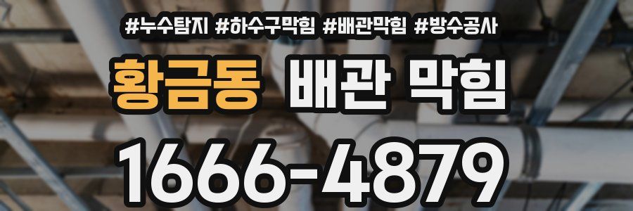 황금동 배관 막힘
