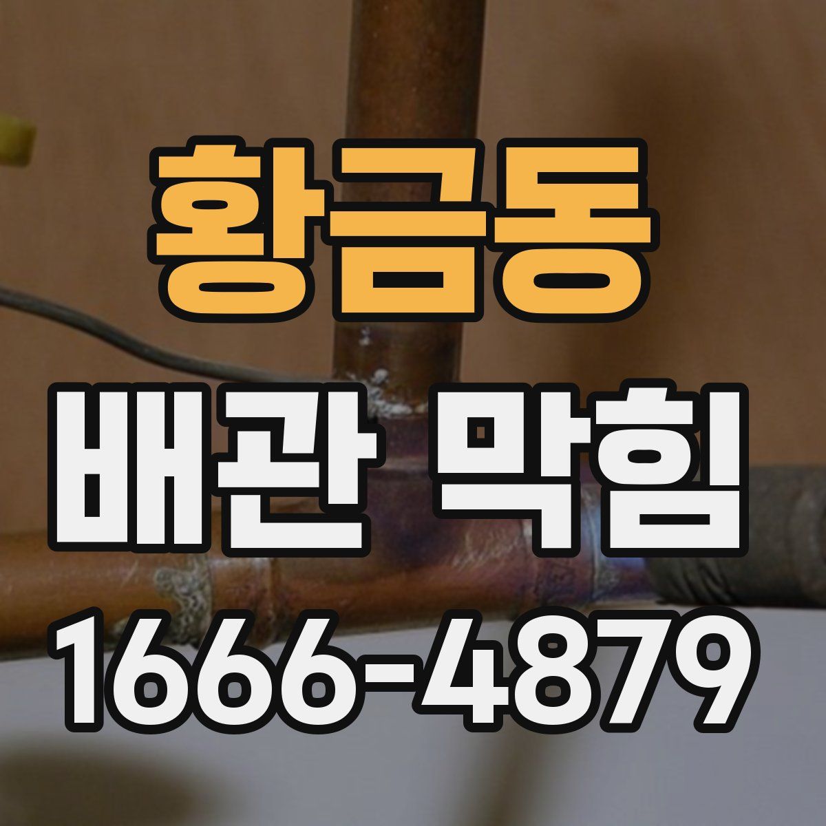 황금동 배관 막힘
