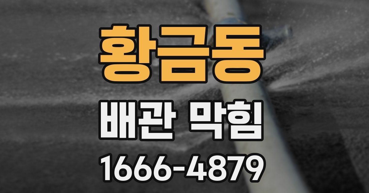 황금동 배관 막힘