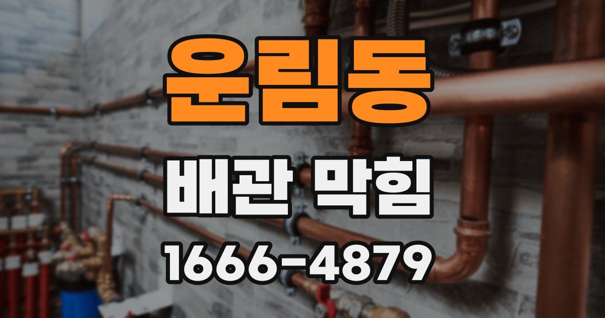 운림동 배관 막힘