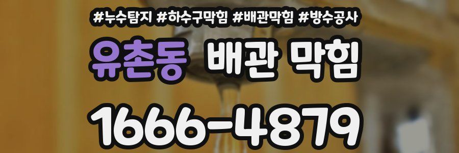 유촌동 배관 막힘