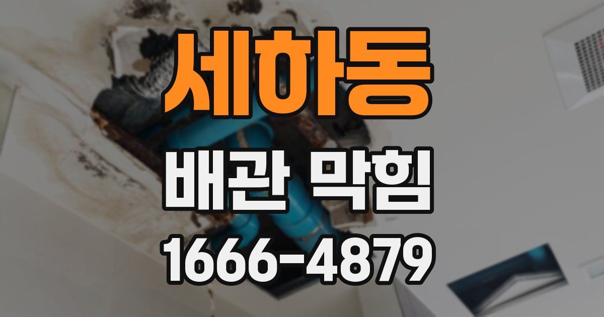 세하동 배관 막힘