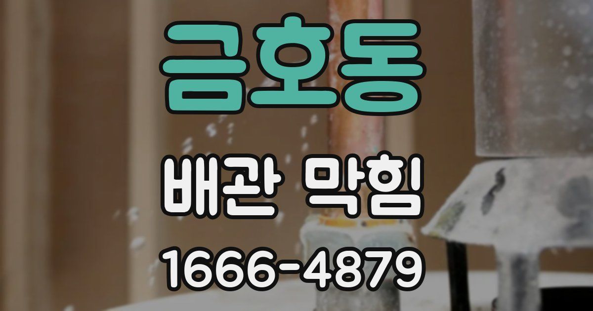 금호동 배관 막힘