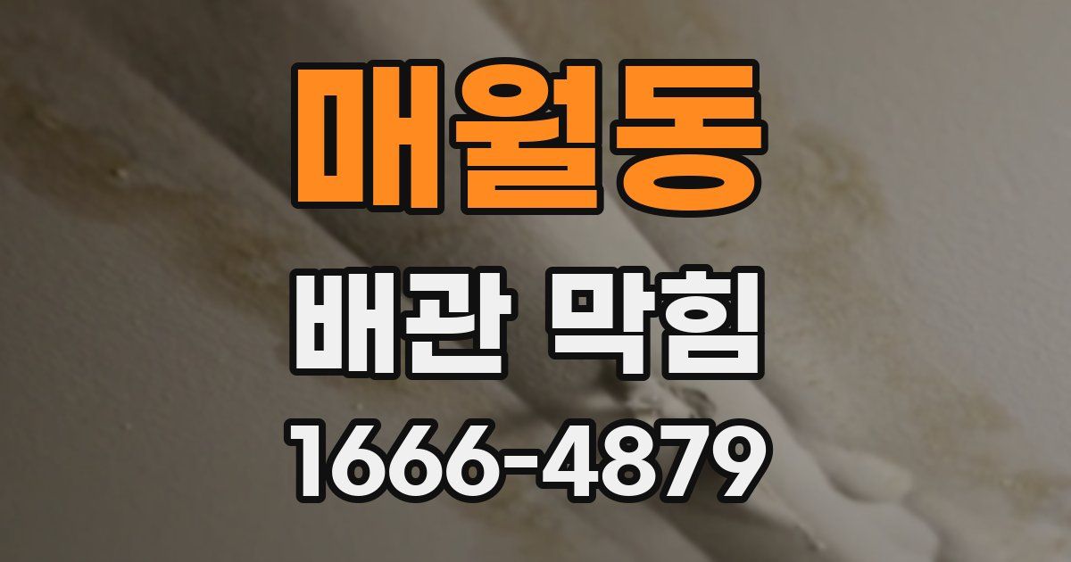 매월동 배관 막힘