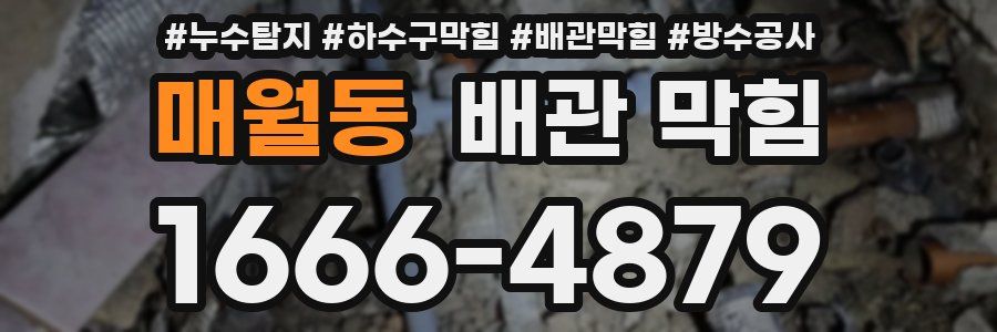 매월동 배관 막힘