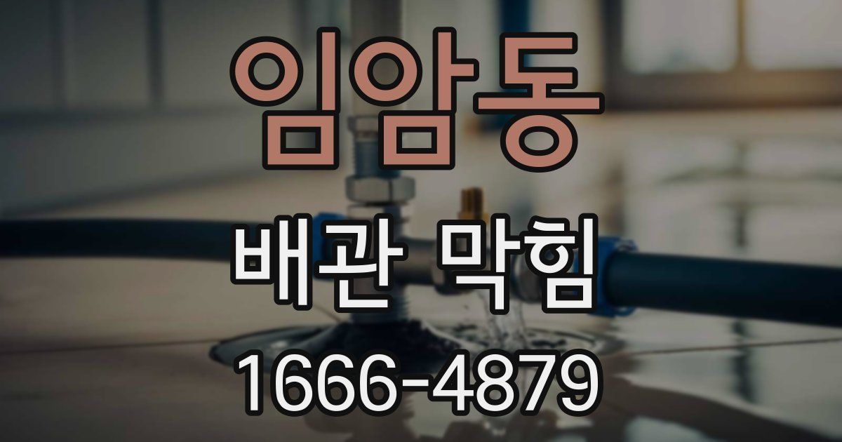 임암동 배관 막힘