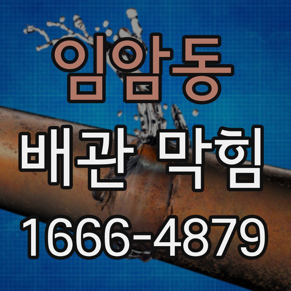 임암동 배관 막힘