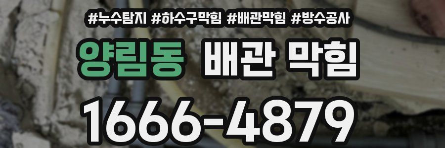 양림동 배관 막힘
