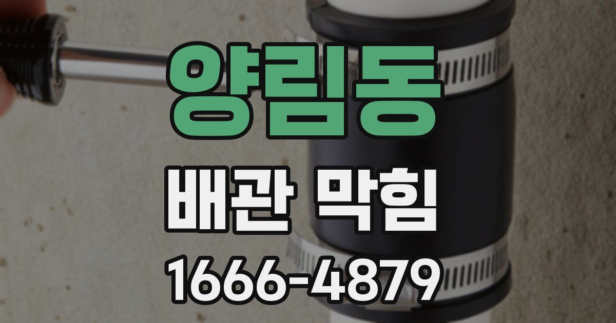 양림동 배관 막힘