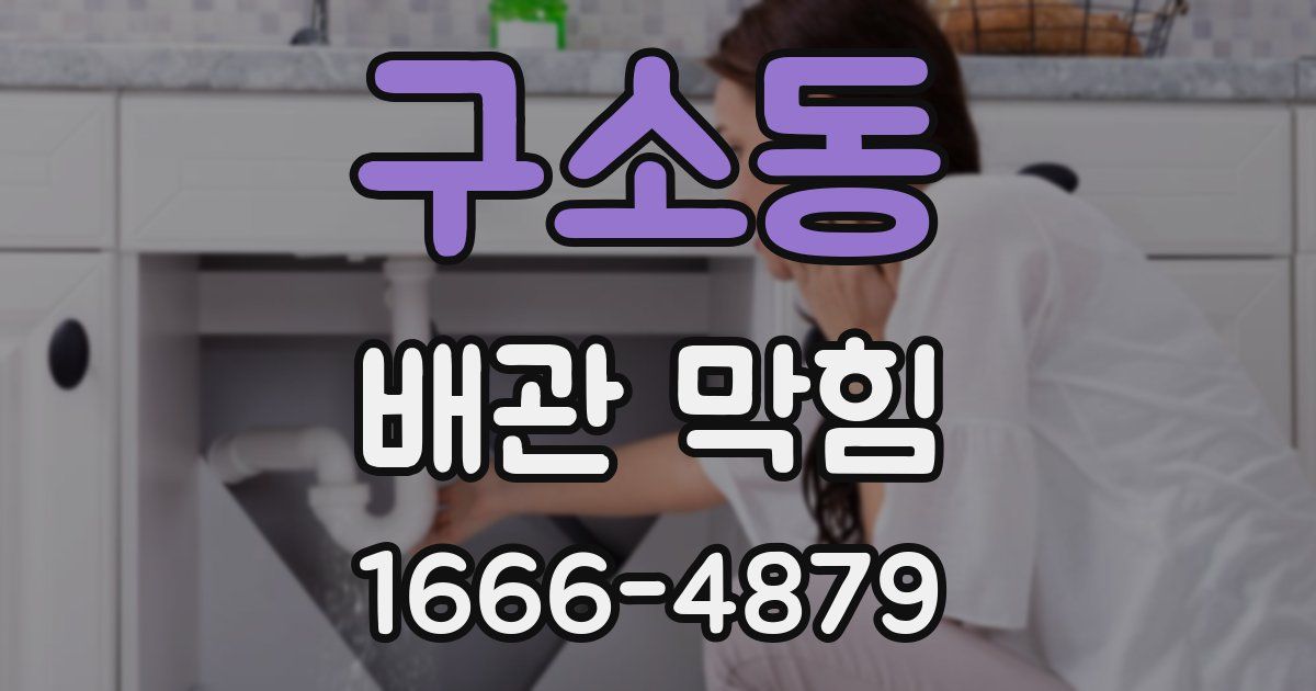 구소동 배관 막힘