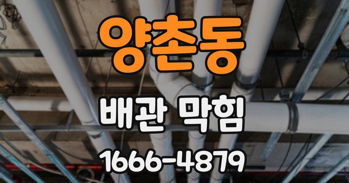 양촌동 배관 막힘