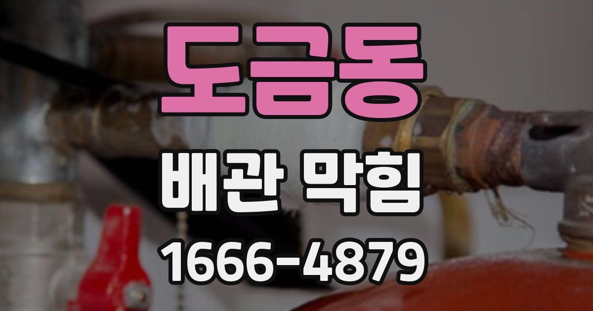 도금동 배관 막힘
