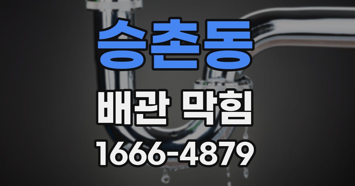 승촌동 배관 막힘