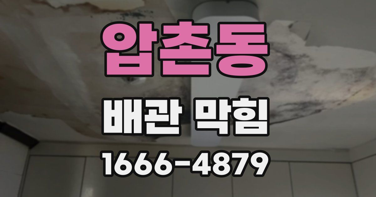 압촌동 배관 막힘