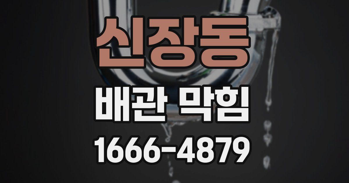 신장동 배관 막힘