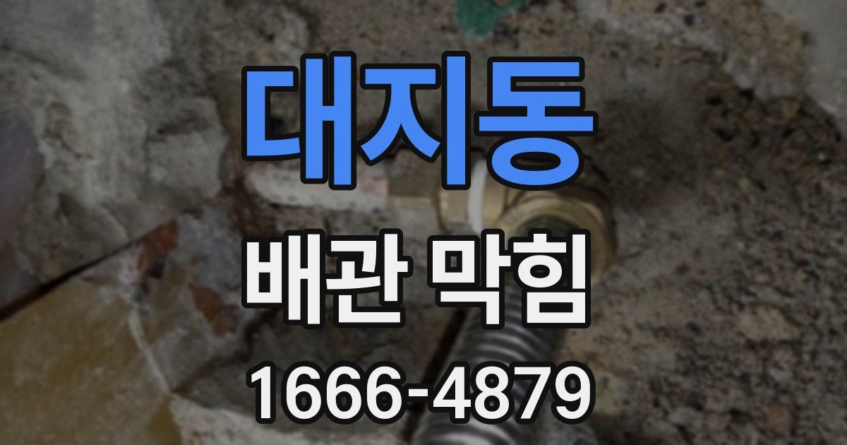 대지동 배관 막힘