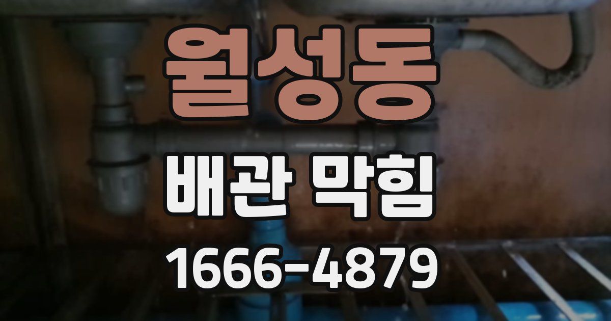 월성동 배관 막힘