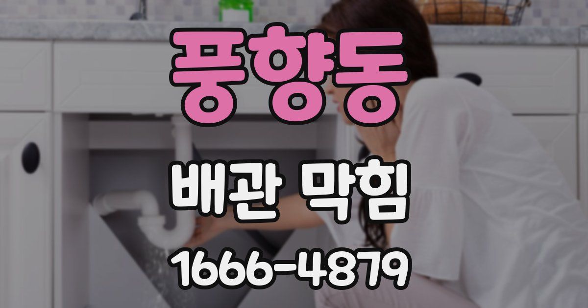 풍향동 배관 막힘