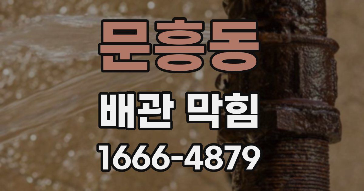 문흥동 배관 막힘