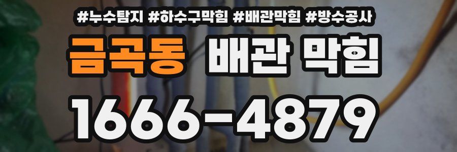 금곡동 배관 막힘