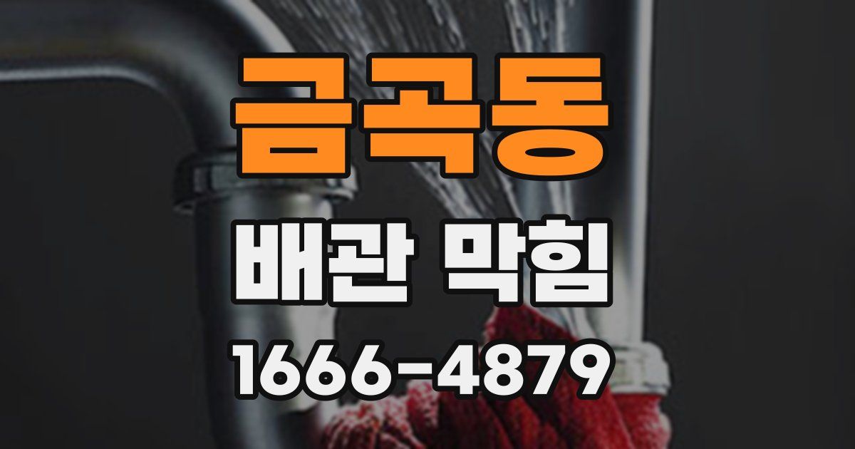 금곡동 배관 막힘