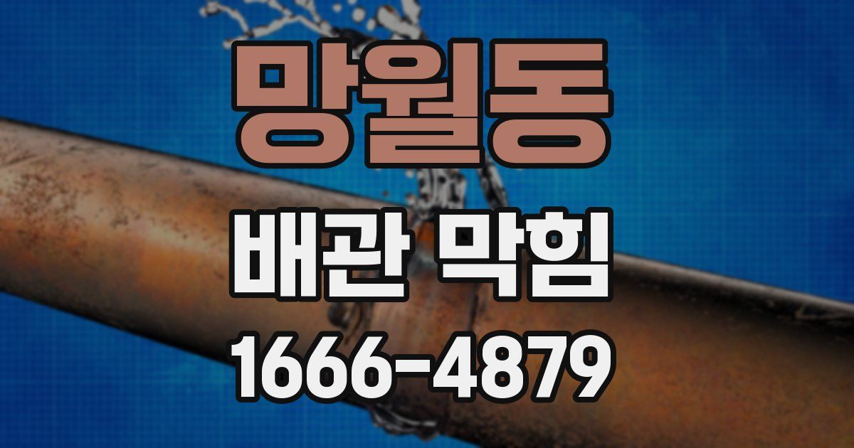 망월동 배관 막힘