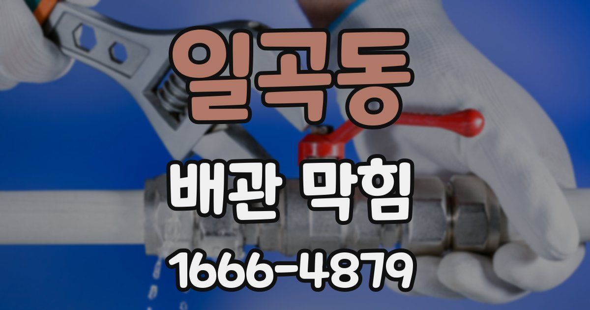일곡동 배관 막힘