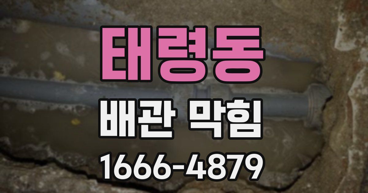 태령동 배관 막힘