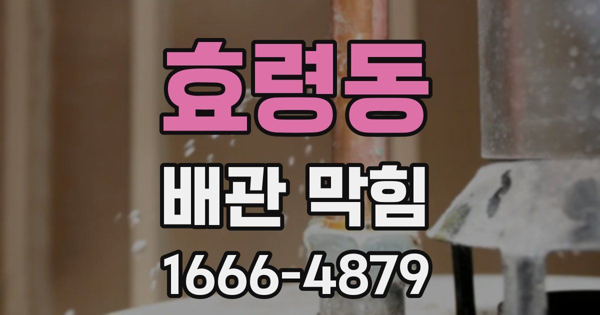 효령동 배관 막힘