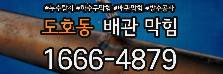 도호동 배관 막힘