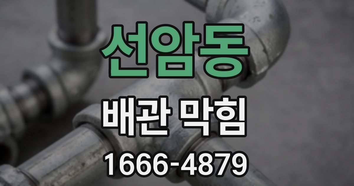 선암동 배관 막힘