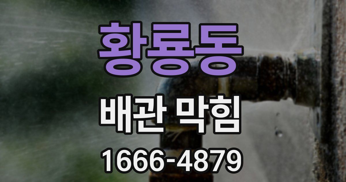 황룡동 배관 막힘