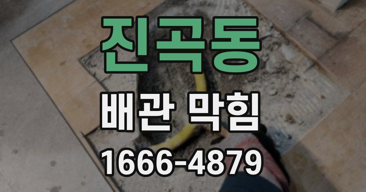 진곡동 배관 막힘