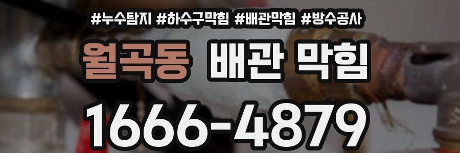월곡동 배관 막힘