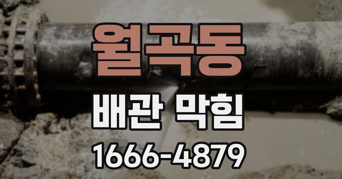월곡동 배관 막힘