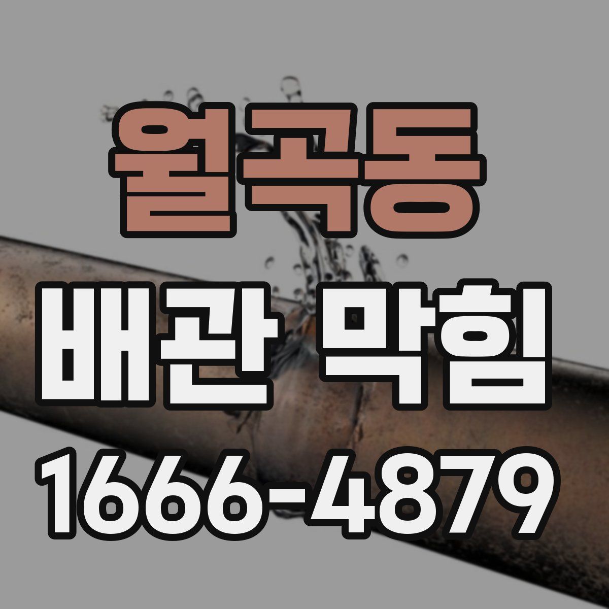 월곡동 배관 막힘