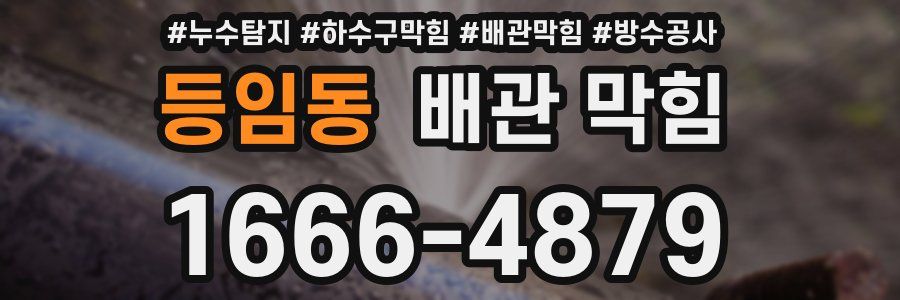 등임동 배관 막힘