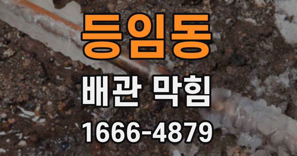 등임동 배관 막힘