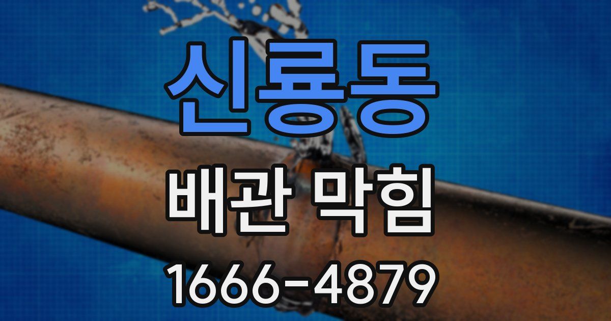 신룡동 배관 막힘