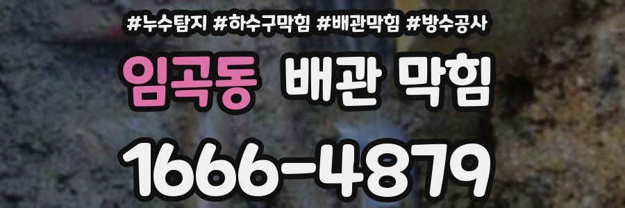 임곡동 배관 막힘