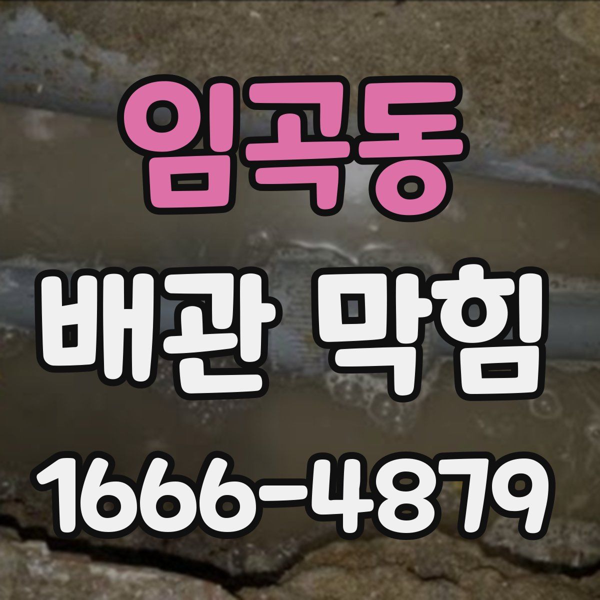 임곡동 배관 막힘