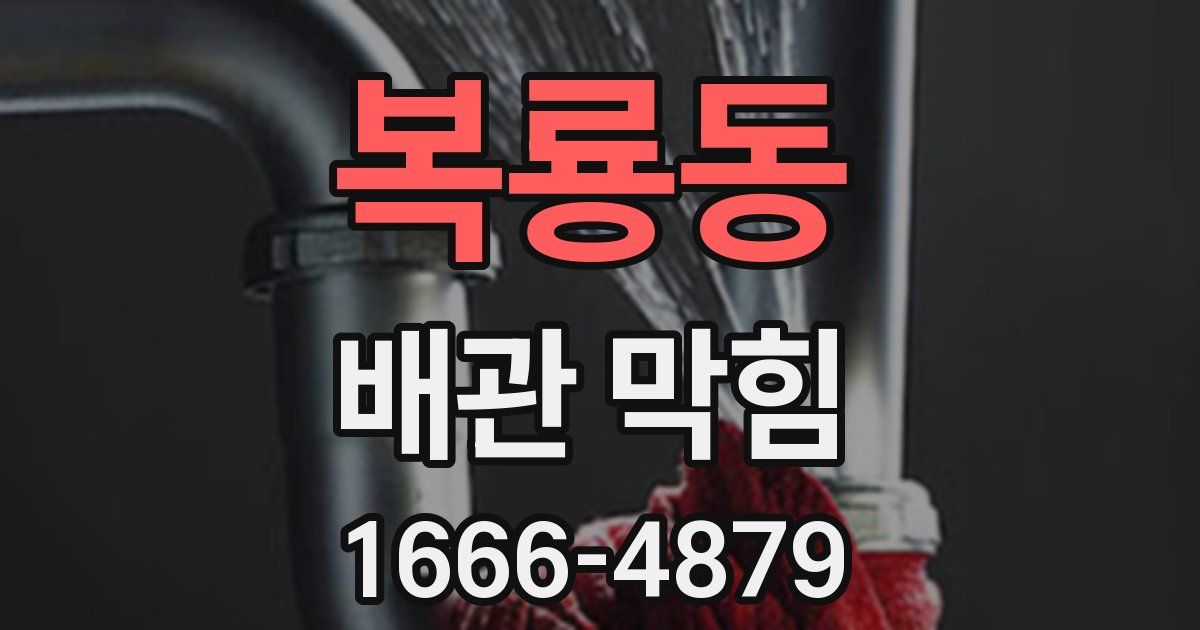 복룡동 배관 막힘