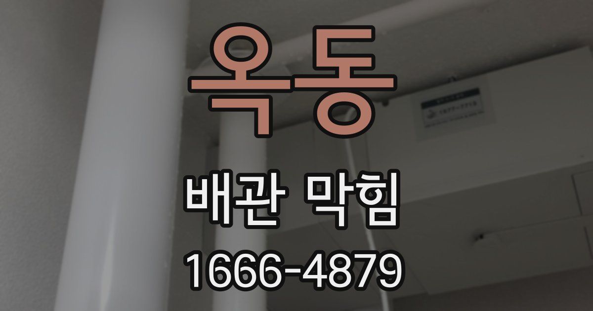 옥동 배관 막힘