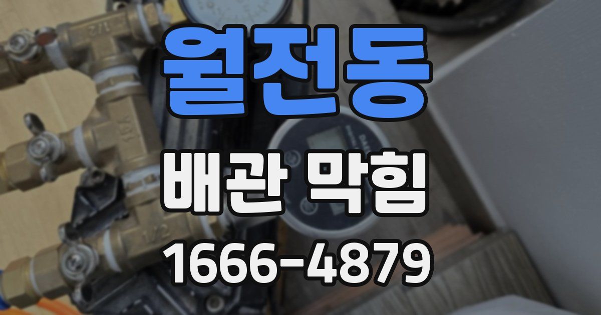 월전동 배관 막힘